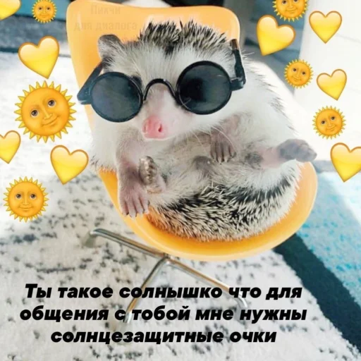 Sticker from the "Солнышки" sticker pack