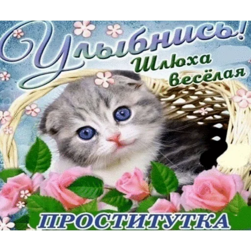 Sticker from the "Нищета и упадок" sticker pack