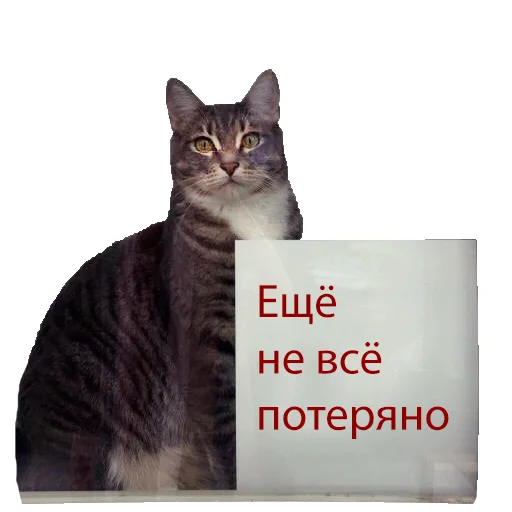 Sticker from the "Нищета и упадок" sticker pack