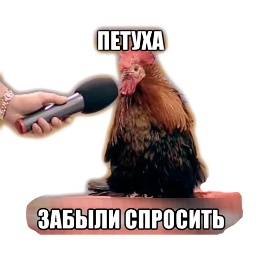 Sticker Нищета и упадок