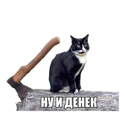 Sticker from the "Нищета и упадок" sticker pack