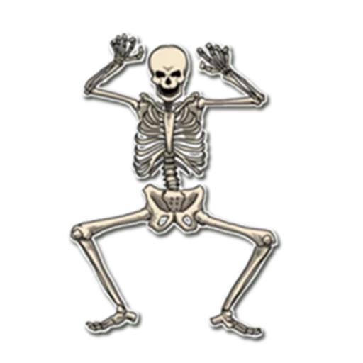 Sticker from the "Skeleton Bob / By OsmerOmar" sticker pack