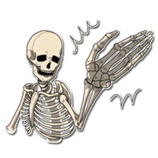 Sticker from the "Skeleton Bob / By OsmerOmar" sticker pack