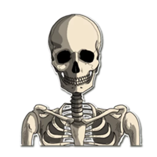 Sticker from the "Skeleton Bob / By OsmerOmar" sticker pack