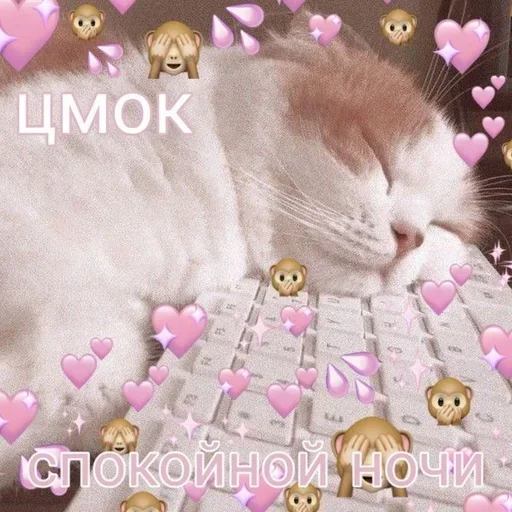 Sticker from the "Любовные пикчи" sticker pack