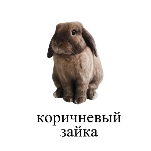 Sticker from the "Любовные пикчи" sticker pack