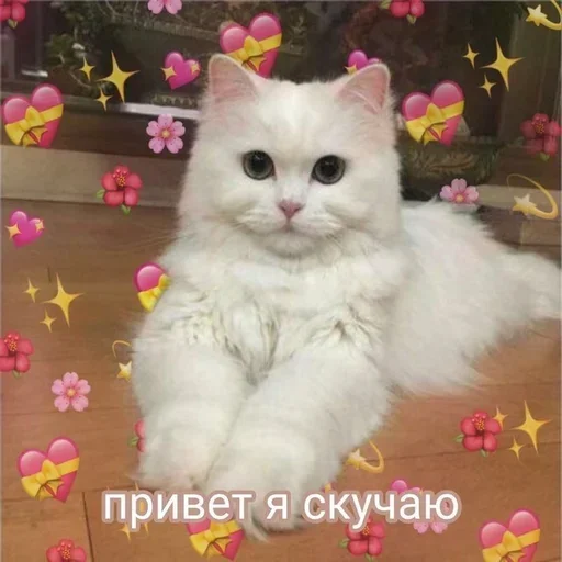 Sticker from the "Любовные пикчи" sticker pack