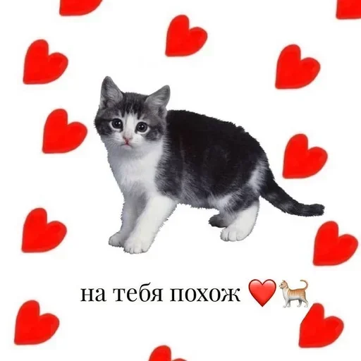 Sticker from the "Любовные пикчи" sticker pack