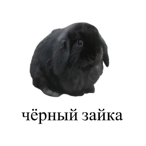 Sticker from the "Любовные пикчи" sticker pack