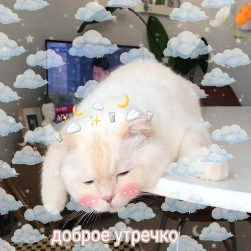 Sticker from the "Любовные пикчи" sticker pack