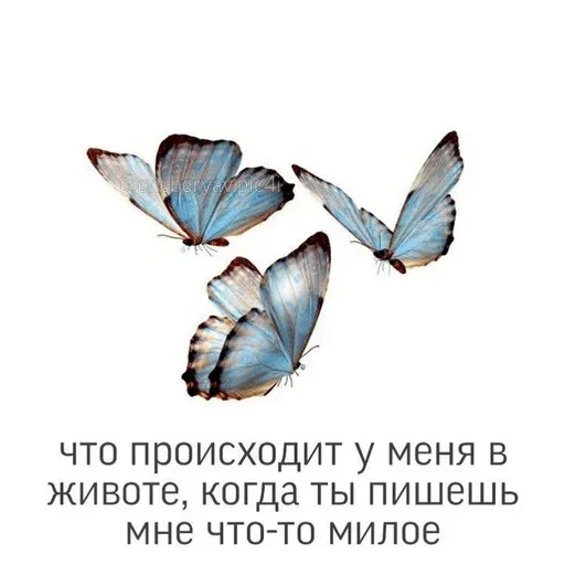 Sticker from the "Любовные пикчи" sticker pack