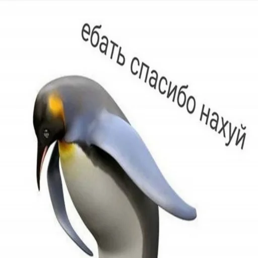 Sticker from the "Фладара хочется" sticker pack