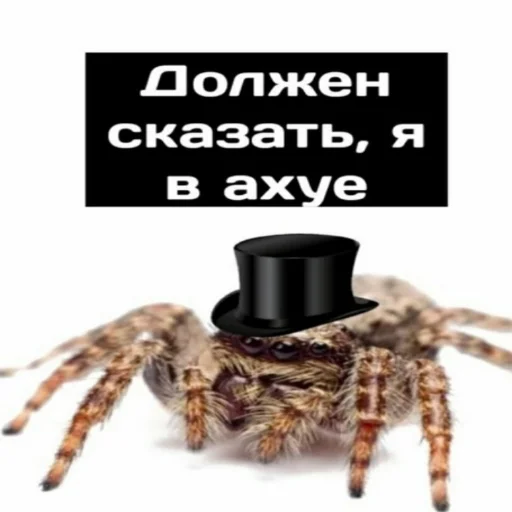 Sticker from the "Фладара хочется" sticker pack