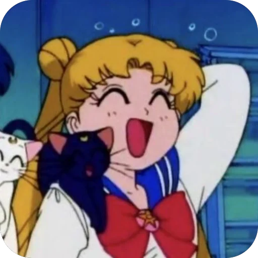 Sticker Sailor Moon