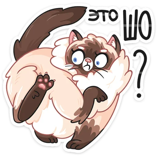 Sticker from the "Сиамский Сахарок" sticker pack