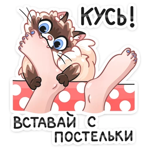 Sticker from the "Сиамский Сахарок" sticker pack