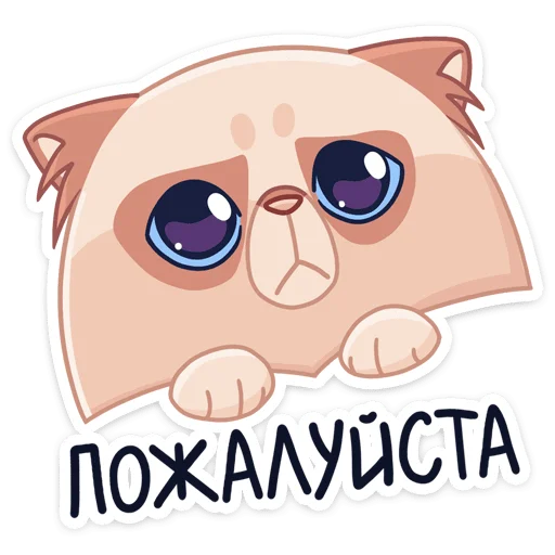 Sticker from the "Пушух" sticker pack