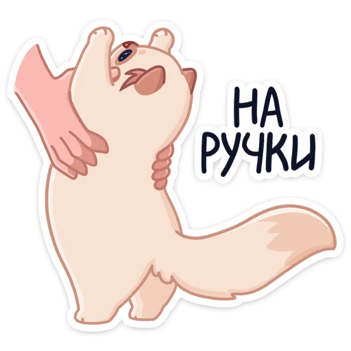 Sticker from the "Пушух" sticker pack