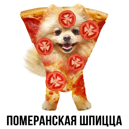 Sticker from the "Шлакоблокунь и друзья" sticker pack