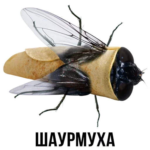 Sticker from the "Шлакоблокунь и друзья" sticker pack