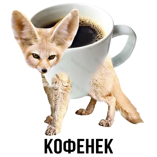 Sticker from the "Шлакоблокунь и друзья" sticker pack