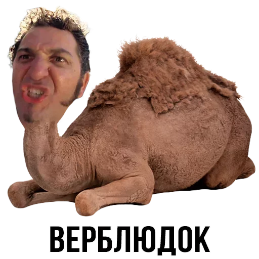 Sticker from the "Шлакоблокунь и друзья" sticker pack