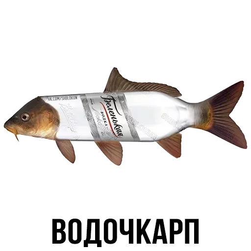 Sticker from the "Шлакоблокунь и друзья" sticker pack