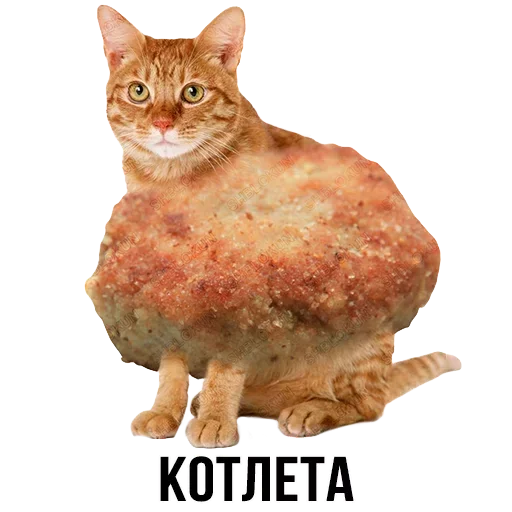 Sticker from the "Шлакоблокунь и друзья" sticker pack