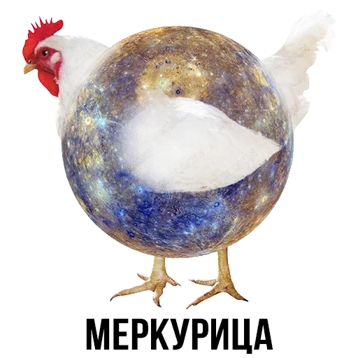 Sticker from the "Шлакоблокунь и друзья" sticker pack