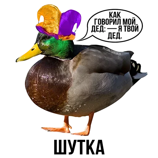 Sticker from the "Шлакоблокунь и друзья" sticker pack