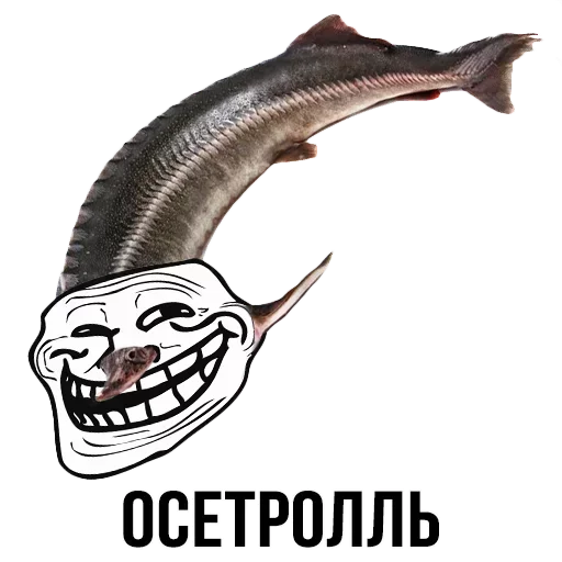 Sticker from the "Шлакоблокунь и друзья" sticker pack