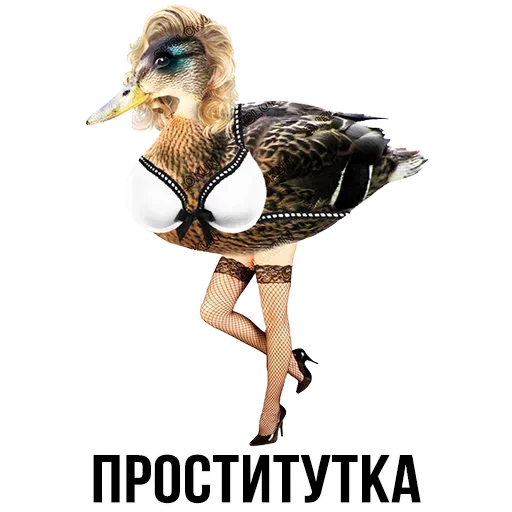 Sticker from the "Шлакоблокунь и друзья" sticker pack