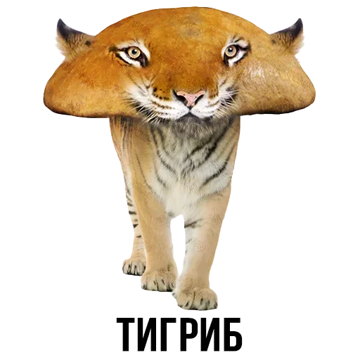 Sticker from the "Шлакоблокунь и друзья" sticker pack