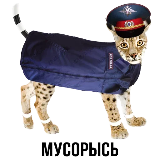 Sticker from the "Шлакоблокунь и друзья" sticker pack