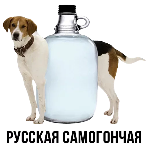 Sticker from the "Шлакоблокунь и друзья" sticker pack