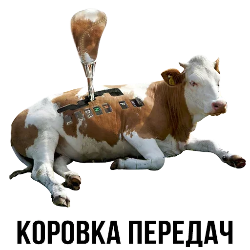 Sticker from the "Шлакоблокунь и друзья" sticker pack