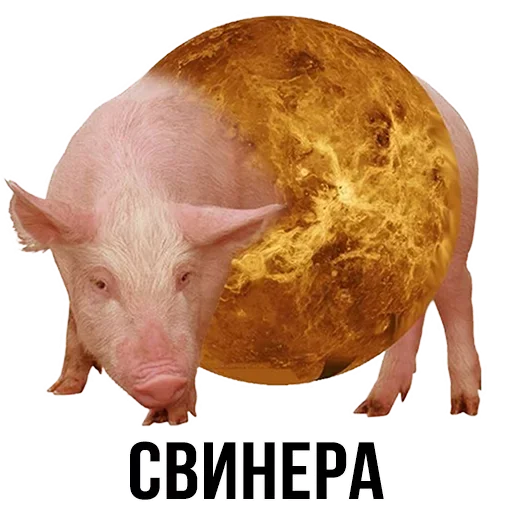 Sticker from the "Шлакоблокунь и друзья" sticker pack