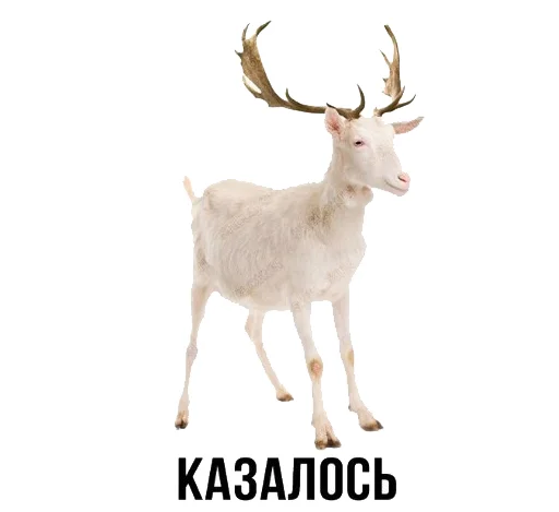 Sticker from the "Шлакоблокунь и друзья" sticker pack