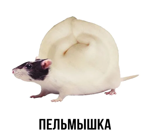 Sticker from the "Шлакоблокунь и друзья" sticker pack