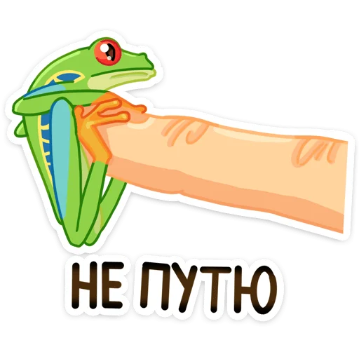 Sticker from the "Квакша" sticker pack