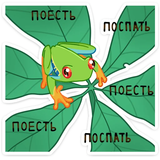 Sticker from the "Квакша" sticker pack