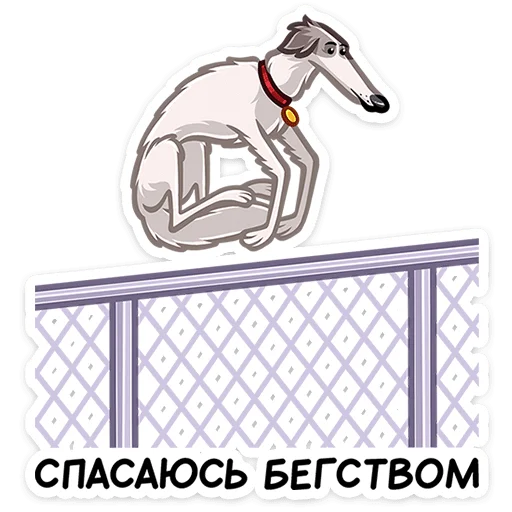 Sticker from the "Грэй" sticker pack