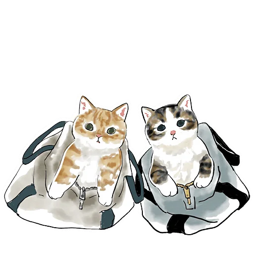 Sticker from the "Cats | Котики" sticker pack