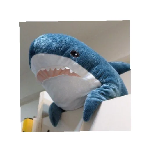 Sticker shark