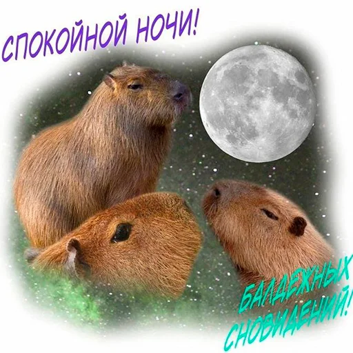 Стикер из набора "Capybara's world"