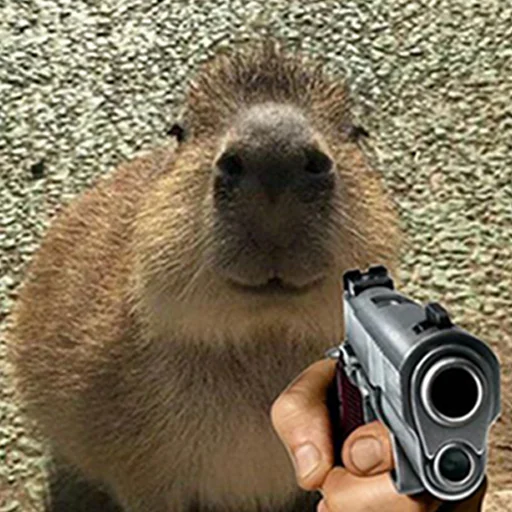 Sticker from the "Capybara's world" sticker pack