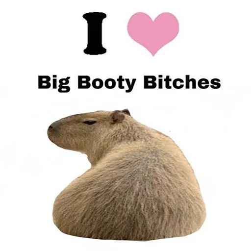 Sticker from the "Capybara's world" sticker pack