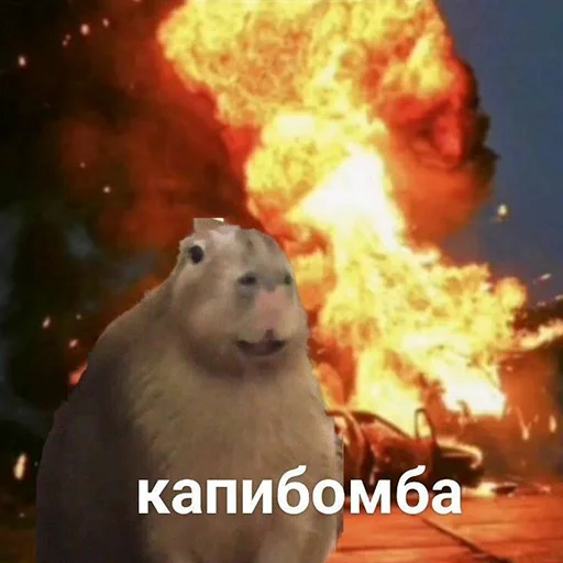 Стикер из набора "Capybara's world"