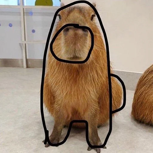 Стикер из набора "Capybara's world"