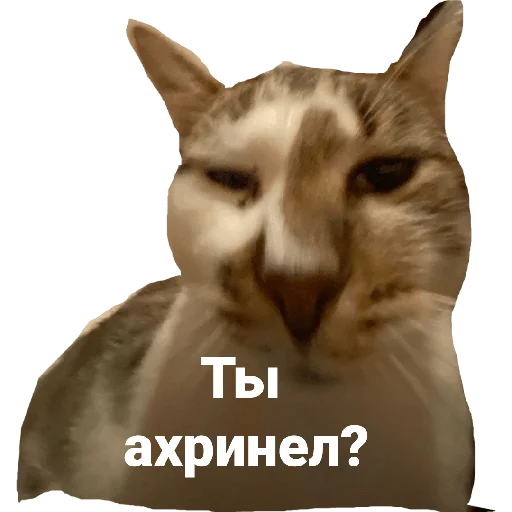 Sticker from the "Гувмен" sticker pack